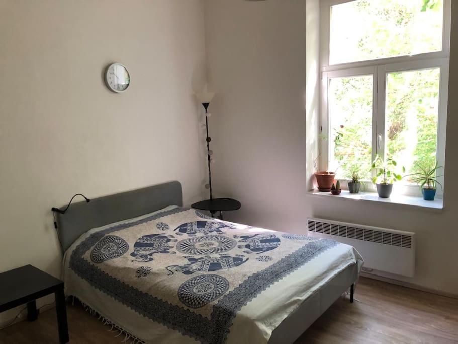 Cozy Karlin Lejlighed Prag